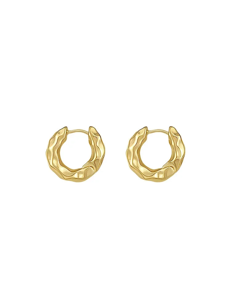 Veloura Royal Circle Hoop Earrings – Sterling Silver Elegance